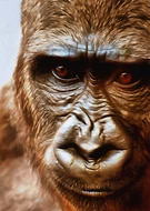 2017-06-30/7309e1331fffbb1078158ab37048337e_975a0b7d3297257114afcdc5f9a34ae6