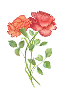 2017-07-04/93b7dd797e36ee1232a8979eb44209f1_daff22fb0ce36c2bec19716e2ca3ef94