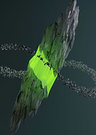 2017-07-22/18c45749628c3054b2bd52813dcc7fb3_989867960911d5e1dbba663b67e8a7b4