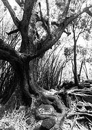 2017-07-25/91cd755f31497ccb9907b2d700d266db_6634ddae95bc1b0b52195322d346e96f