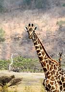 2017-08-03/afac3e76f0e12b255ff6b92de8b772aa_29f65b2372886671d85f7ef50e3a0c28