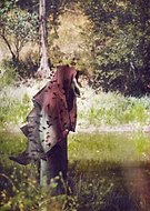 2017-08-10/b95deed73538947c919dbccf25a4791c_5eef5a1cae3b3248cfbd8a1332685e35