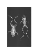 2017-09-14/321ef5a617a10397143fdf8e1eae0af2_7a8e42f06ec2bb67e76641217d73e142