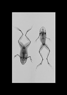 2017-09-14/8868001b3e5d30dd3defa279636ac2e2_8de4a26e9043e3a8cac413edb5b0fae6