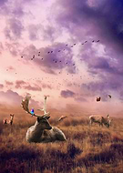 2017-09-28/5467ac6a875802088551b18128f35700_bd0524bbe993d0634c9bcaa49c202336