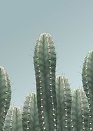 2017-10-23/7185433da455c45b7eb476cda5446597_2ead24449e53ed112fc109516c330d78