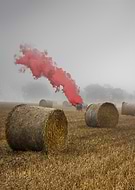 2017-11-08/3613bc840de4572351284e246d10efb6_a7343630c099ca1e674b88475f4d1213