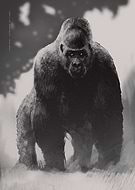 2017-12-06/43e98dd3e49f61c49fe086df1ab013d7_57a89883d6b083e2a6bb0a54437b8aa4