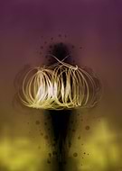 2017-12-11/8d13f0e35f7e6fc3eaf297b1546a8dd4_0524d46a36ec5c0c3b1715759547e91a