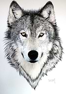 2017-12-24/657ccef772e6c469f09db6fcef83e5ac_b301d2fe911ee87db97316da86780cb9