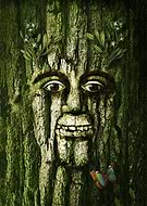 2018-02-07/88f110a0665fb27e385bd463c846944b_b185cf248e5975ec2d09b97446ce283b