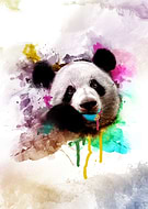 2018-02-09/481bc1ba4a2deeb5629d86c69c6312f5_d8968458fc67b130bcd2cb762403ccfe