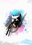 2018-02-14/9d36059ba34410f2cceaca1e8e5863f9_80a242956849c281a616eaf0201660cd