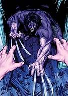 collection-preview-1