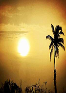 2018-02-20/5ba90d505743dbae3ca9e78aea97450f_2f7d48ce1868fdb33fbf69ff33540ac2