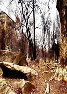 2018-02-20/5f4ff9f76819a3d6fd38c16a16b4e65a_f39877ddc7ccd8b52a265b9af5707487