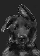 2018-02-20/631da3bc88de9b19fcbfa21737e577df_99e4e0535770e1922cd9d3c730b5e14d