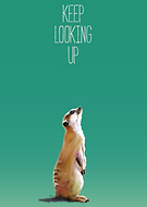 2018-03-05/2c52d3db1679319dc2019691582c78b8_82604b0d1b4eef95571c1ff684043a34