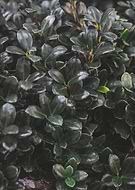 2018-03-12/4648afb7c14137d0f88e4dcbf8f0bf4b_8db57f102d9a3ba281b13111ff5e2e6f