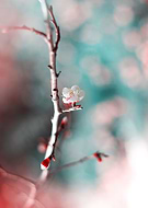 2018-03-12/9b84ce37e8cd071e587f3fd159c15a4e_ad09e3640e5f35dae40aaf179e3b4c72