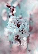 2018-03-13/19f7fd3f966b69234edd1a5a2ff47f32_6d735ef25f1a6aa2065d8a65199f3fec