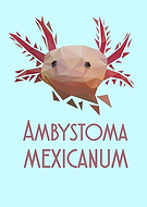 2018-03-26/8810b8867ccf968d670c663baf147c40_2cd24f37432f7b175aa0dea40fcb39b2