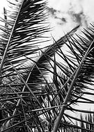 2018-03-29/3566c2bb1fe4d4ef6de0f3d2f8f0ec7d_f4da0b2e589ec6518f5bd749506d3a2b