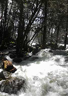 2018-04-01/c7d19a13f7074c88cff60a1350cdc16f_29e799ffa763f5aacb67f6bded5e3921