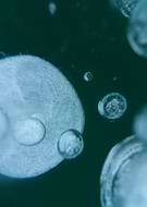 2018-04-16/0d107d93bfc46568ac1ba42a891d30a3_e54ef863dd57566810899cfdaee7af05