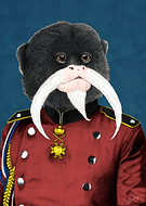 2018-04-19/07d2a0eed9456eebf404a580c65f5424_cc5b52a7f8cbe9e759292fac555a15b4