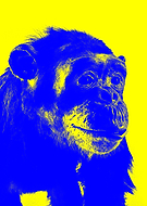 2018-04-30/85a22719fb494f7a6f94f4de5921e486_0c554663a8d793f2e2174cb131c728f5