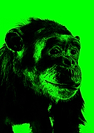 2018-04-30/a3f34df269bb585c65360bd60f68ce45_bab187f0c8febbe23d1ba8ae3a9e1f0a