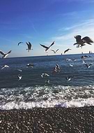 2018-05-08/73c3adbeb8aff04cde3276a6c2d2462d_09b7f16da86f62751fded3fcc57c8764