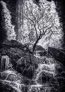 2018-05-09/696c654b8c1e281ececca5387ac56ef2_99ecd4be13f5473b00561456229500fc