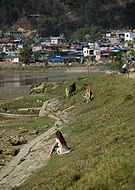 2018-05-17/b48e1403a080deb07795cfae194af785_89e0cca75893f24ed2f2f8f482e3ff7e