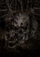 2018-05-22/9002fdf07a777983d636289803dedc86_49ecfb9e1ee41acc835927b1b76f7881