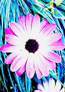 2018-05-24/2c61c2bc0b7b2b5b2698620babb9fa45_8325a216dfeac76865fb3cd8a5783464