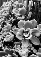 2018-05-25/9b8e5894b5458a826d143f138dc5edeb_f4c7a011f7f883f75cdc225982cc9025