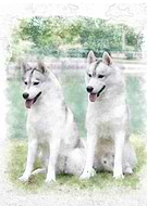 2018-05-30/814db01304db4091d91b863c6541d304_99f3a245aa8abde28543dbd4ef05b209