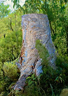 2018-05-31/9c5ffc1ede4d75ab087b3bfde49da2cb_5295a17c2b115457573dc708933507b1