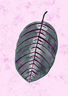 2018-06-06/31d072c0360d50dd56d324d982979dd3_98dcf54ec76c860581615037f030c78e