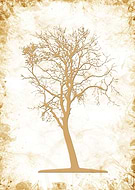 2018-06-08/0c778a4d789fea67cdfa2dd14e6c0655_06a8abff54831e3aac0aecf5a7eeaab6