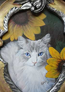 2018-06-09/fa2294b5ce79229e3fe566f5ddb196ca_4e2e644c16360745329373940728330a