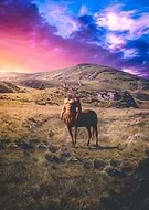 2018-06-15/596cedeb9c081713422be219c8ef9d94_da23becde21a0ab75d5d256b2057f74d