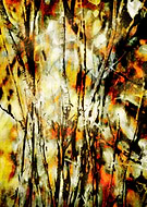 2018-06-20/52081f2bdfc9805bfd12b8823e4e1a22_7f6cb375c4104e14c77708f7eefc1921