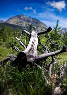 2018-06-22/224b189a9335f2c88224fd89b136a78d_f35b3605a1eb54a83f79060607594d38