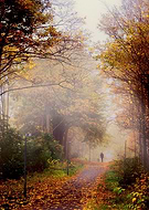 2018-06-28/af5176948dfb9ff989fb3abc8d46b216_7fbff55578f3b34ef7fcdc2fe7712d23