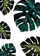 2018-06-29/41df7f6e21fea3dca705d8b5878ef3cf_974a410367a4f84aa7a9792af503203a