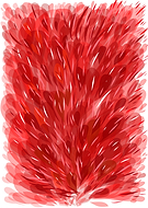 2018-07-05/26e2bf59b22daacaddff54afb9f1696e_ac74630350058d97fb7c40678f46d9e2