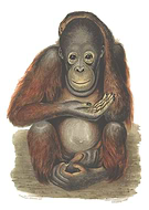 2018-07-05/946f6d85d30b40a1dc29d1592966b82e_7b770ef052f130819b76305b5213b1d7